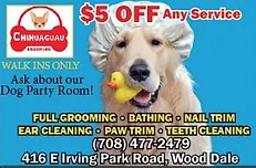 Chihuaguau Dog Grooming